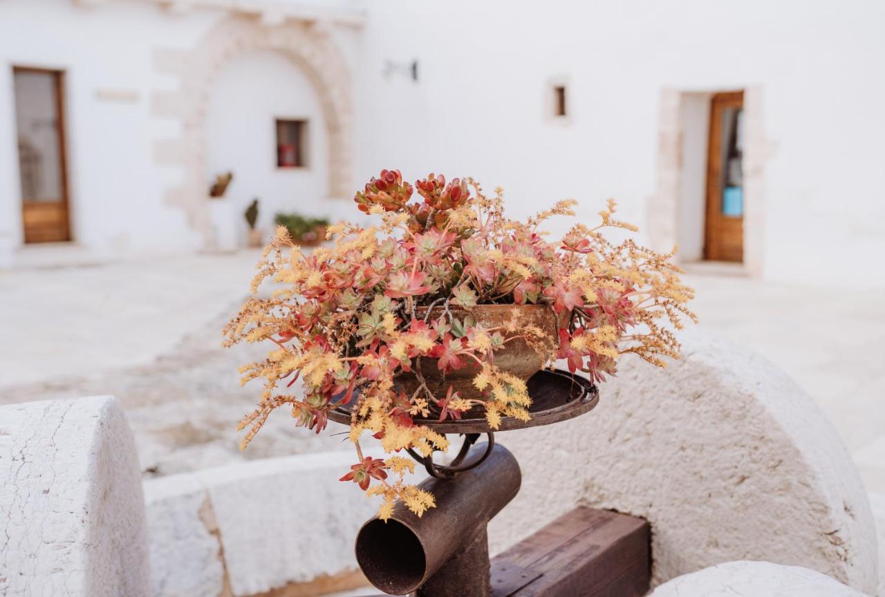 Masseria Casamassima Agriturismo Ostuni Exterior photo